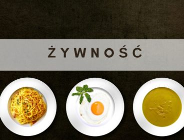 zywnosc-s-s-p-z-novel-food